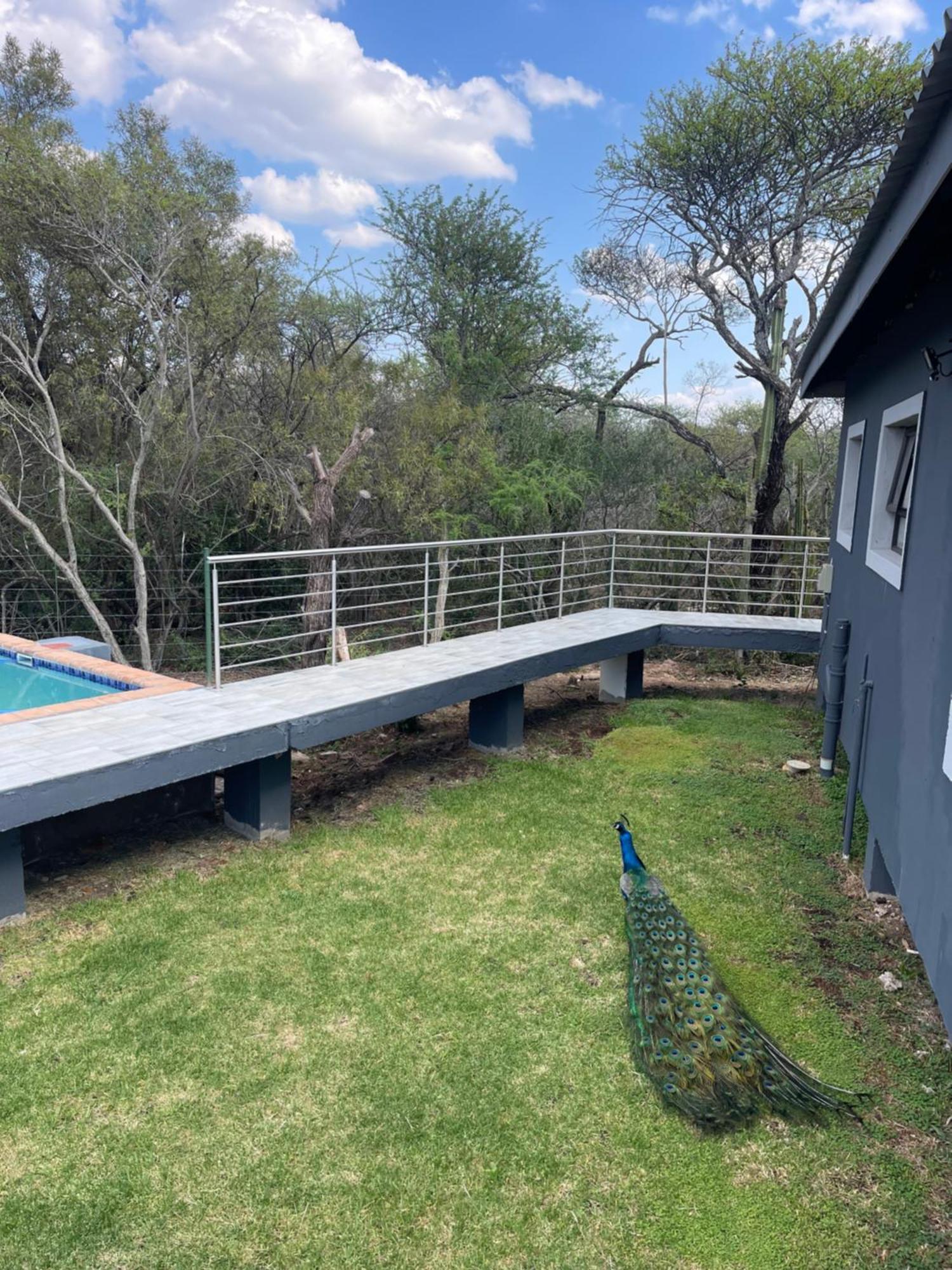 Kings View Exclusive Villas Pretoria-Noord Eksteriør billede