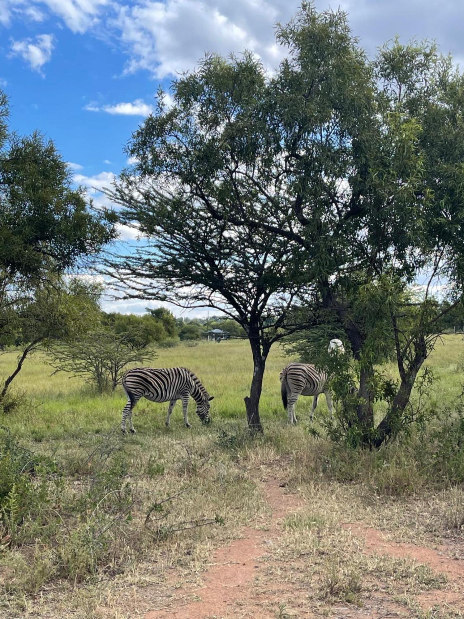 Kings View Exclusive Villas Pretoria-Noord Eksteriør billede