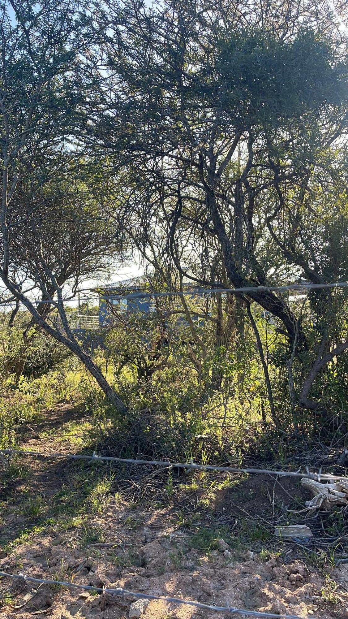 Kings View Exclusive Villas Pretoria-Noord Eksteriør billede